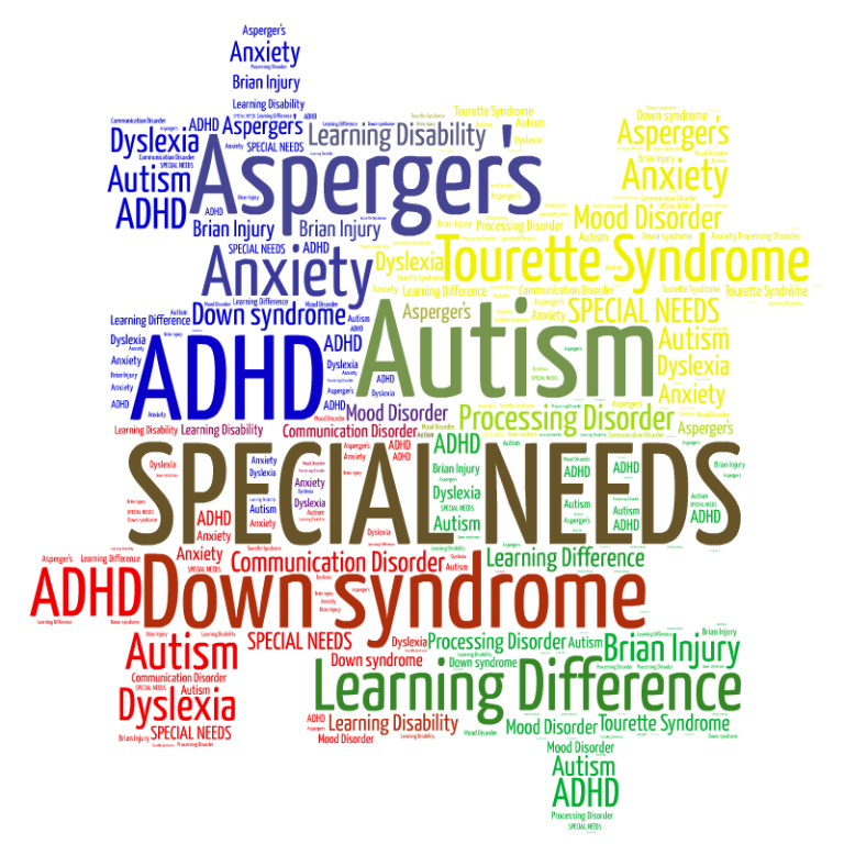 Special Needs The Living Planner